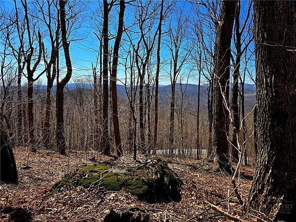 2nd image of Lot 78 Elk Creek Mountain Parkway