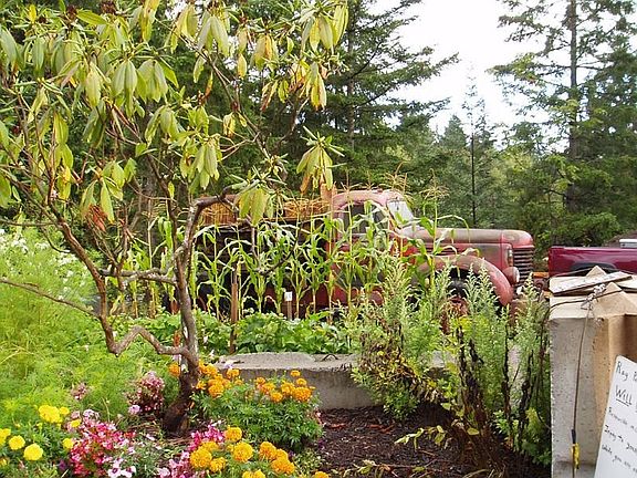 Colorful Garden planting salvaged from garden waist.