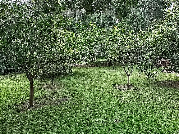 Left Yard