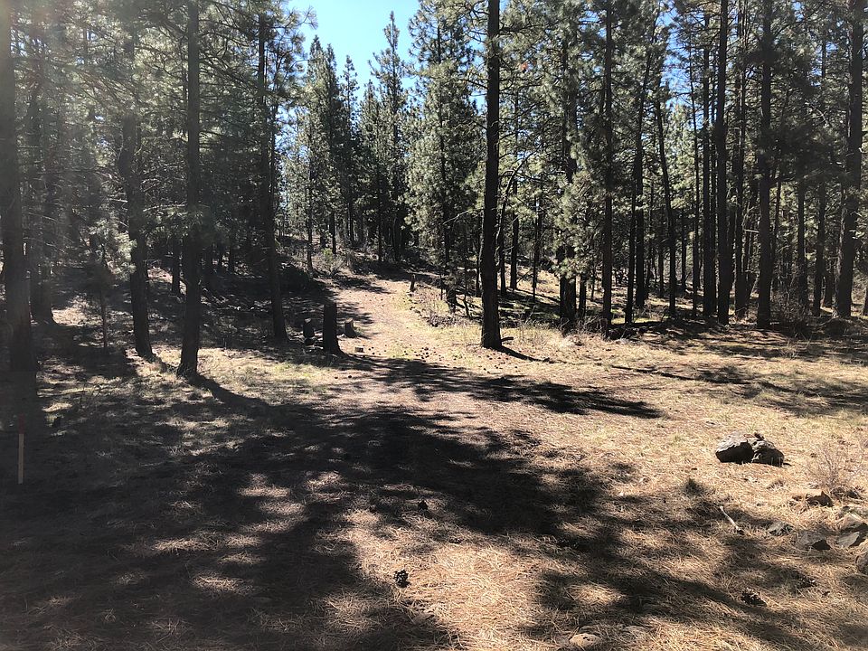 1st image of 2001 Black Buck Ln