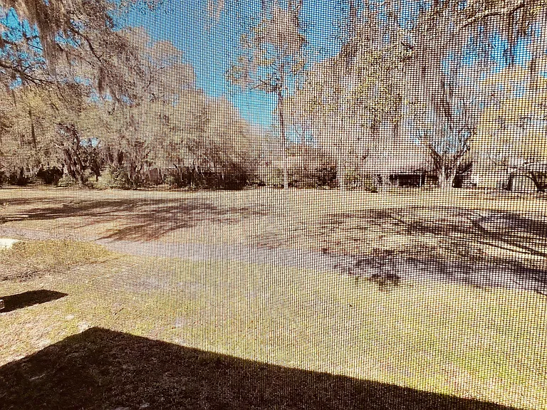 35115 Whispering Oaks Blvd — Photo 29