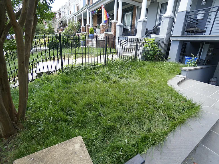 1101 Clifton St NW #B — Photo 19