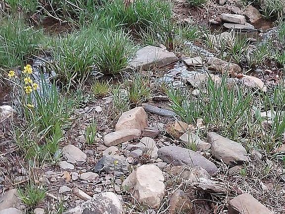 5th image of 7753 Little Creek Hwy