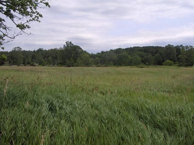 2nd image of Olmstead Rd