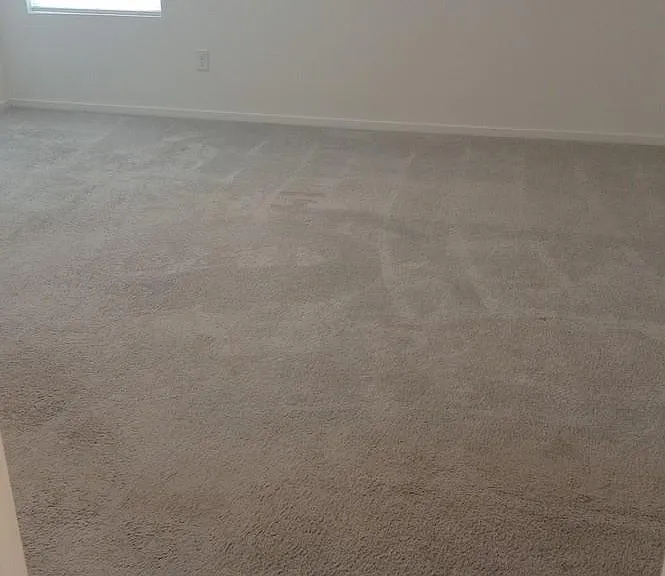 26826 Zebra Grass Dr — Photo 7