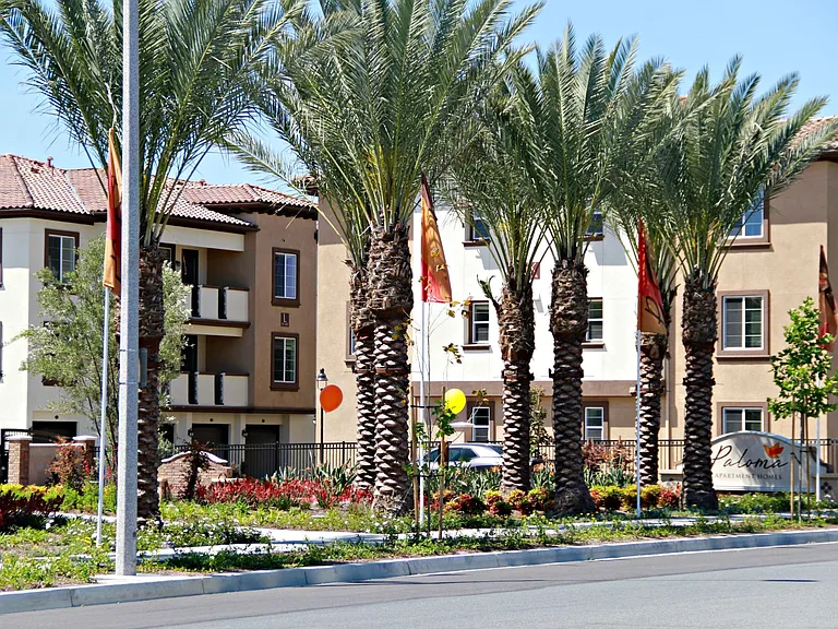 Paloma Apartment Homes — Photo 22