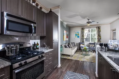 Kitchens feature gas stovetops and granite countertops - The Verdant Apartments