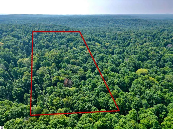 10 Acres Vl, Mancelona, MI 49659