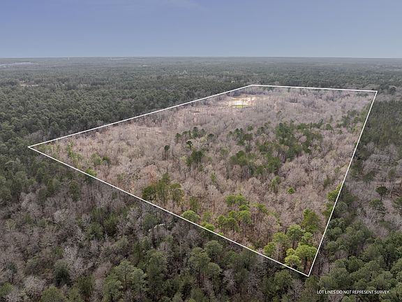 4th image of 80/ACRE N Beverly Hills Rd
