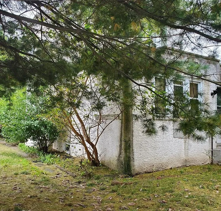 Property Side View