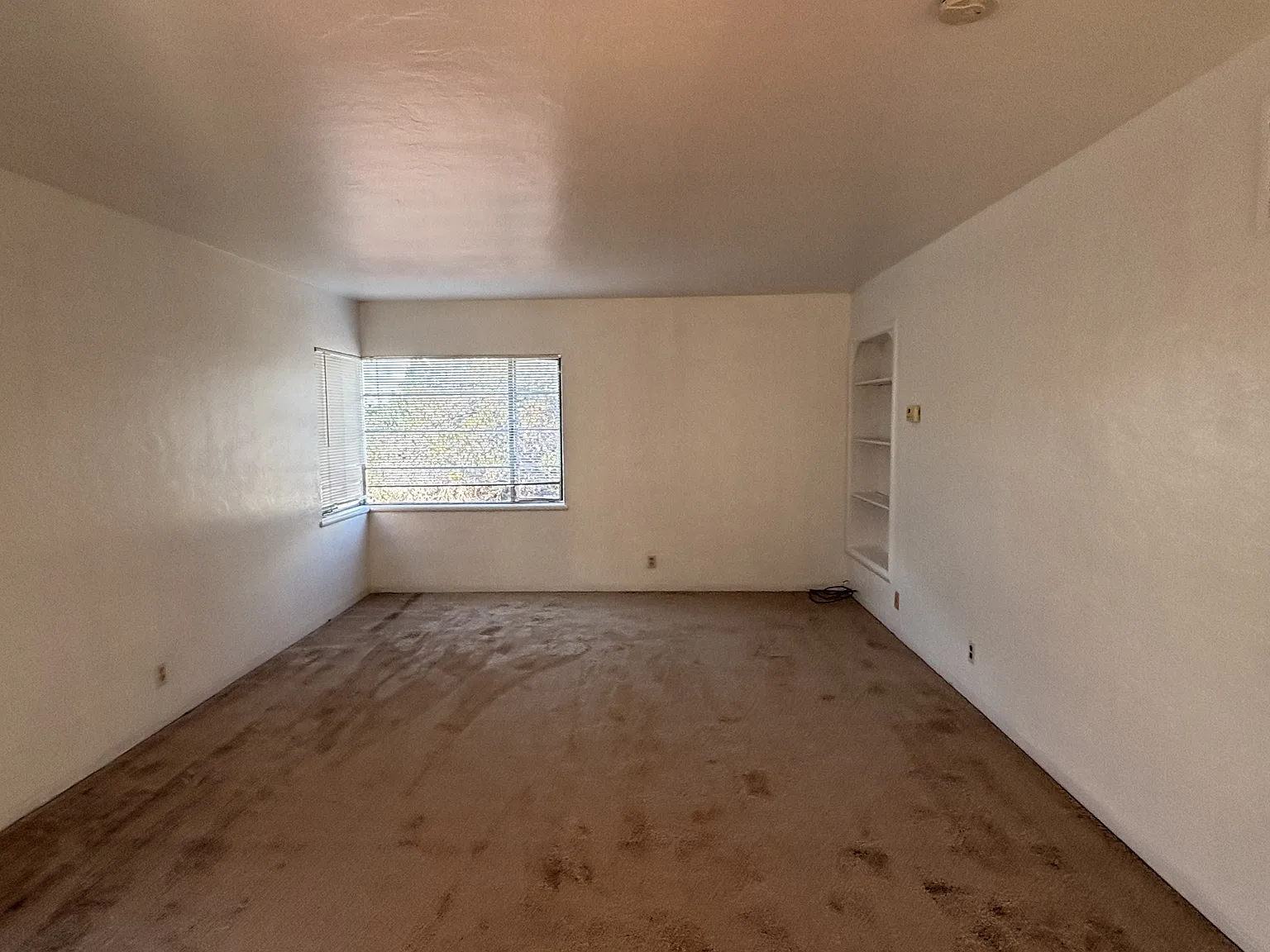 158 West Broadmoor Boulevard - 3 — Photo 3