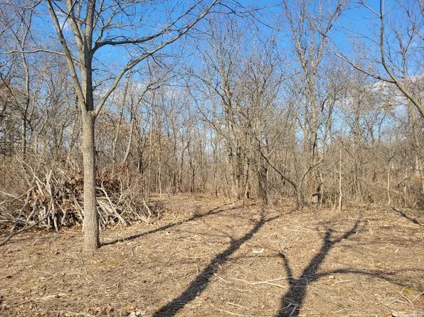 31504 Fast Ave, Mackinaw, IL 61755