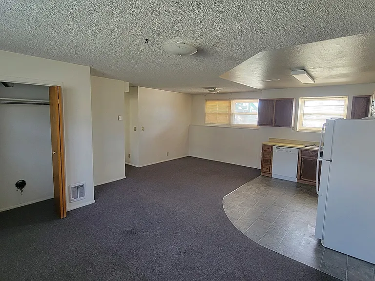 Living area and kitchen.
