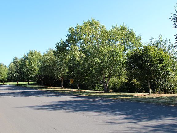 5th image of 19100 NE 74th Ct