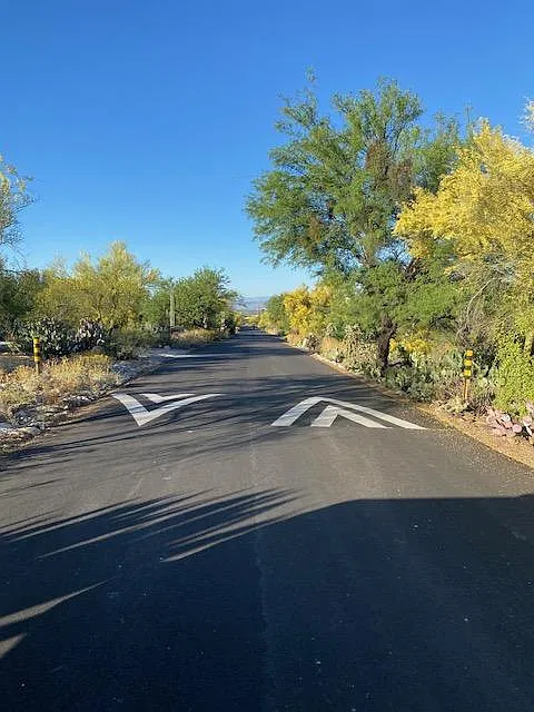 E Camino Bosque, Tucson — Photo 3