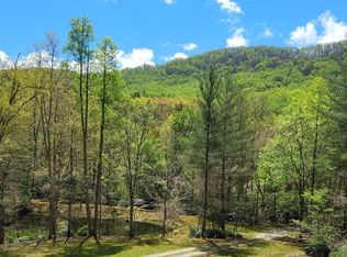 1171 Pickelsimer Mountain Ln, Morganton, GA 30560