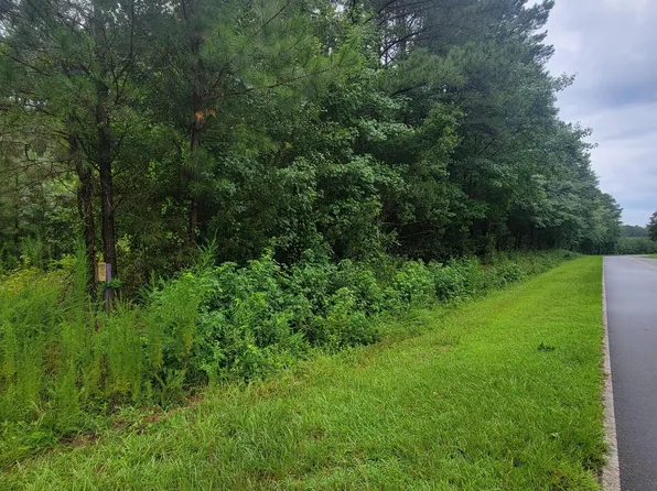 0 Point Caswell Road, Atkinson, NC 28421