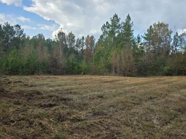 125 Moses Ln, Prentiss, MS 39474