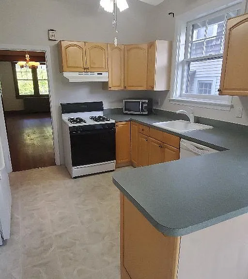806 Violet Pl — Photo 7