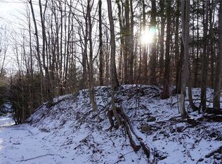 0 Apache Springs Rd #17, Lacona, NY 13083