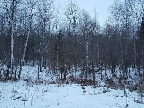 4th image of Tract B Scenic Lake Dr Nw