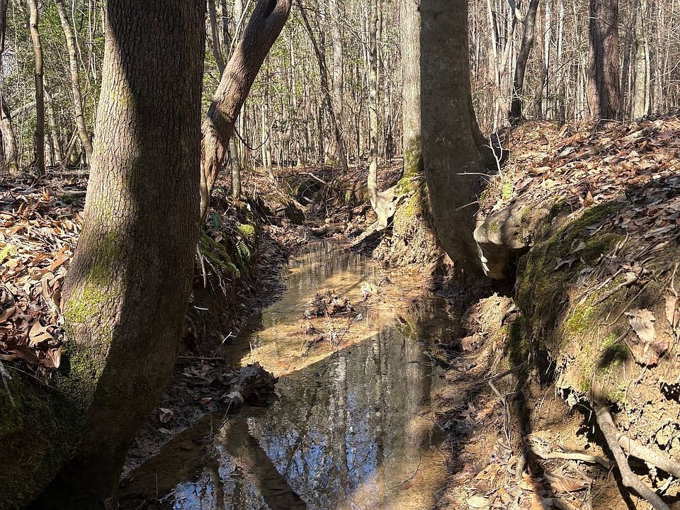 Photo Feb 05 2026 11 15 38 Am