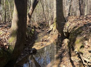 Sipsey Detroit Rd, Greenwood Springs, MS 38848