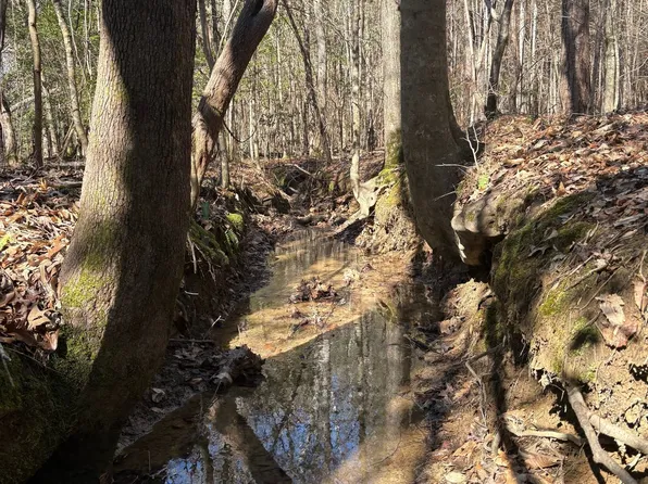 Sipsey Detroit Rd, Greenwood Springs, MS 38848