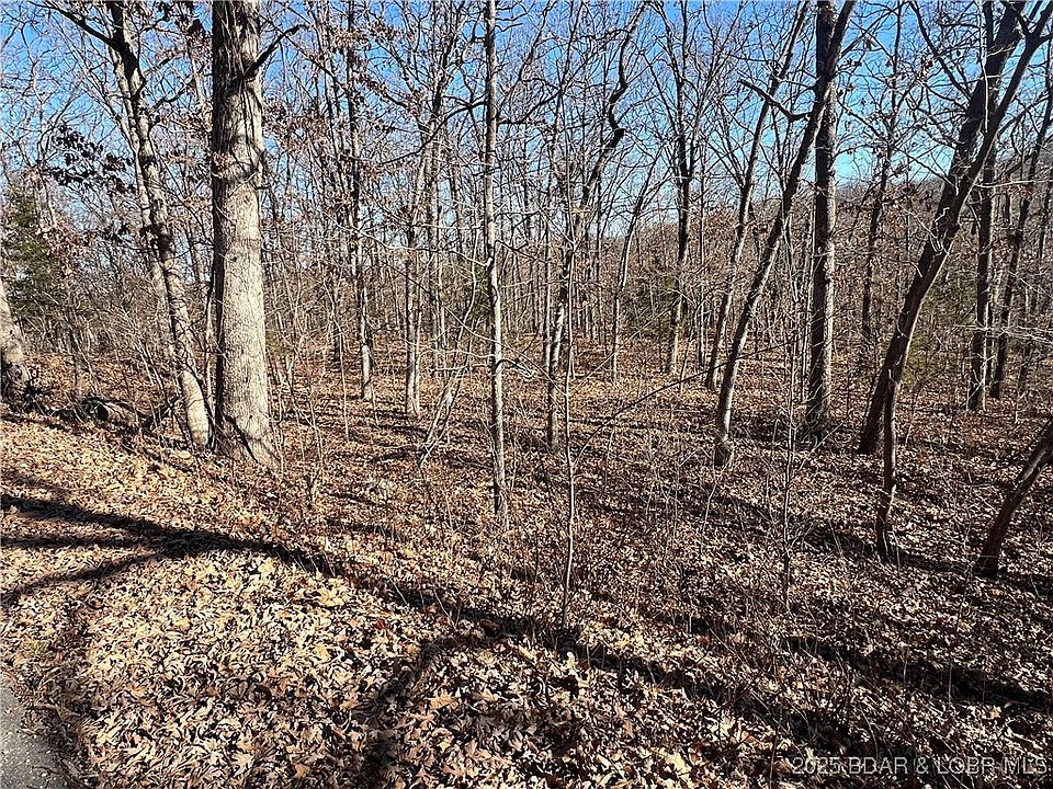 2nd image of Thong Tree Rd