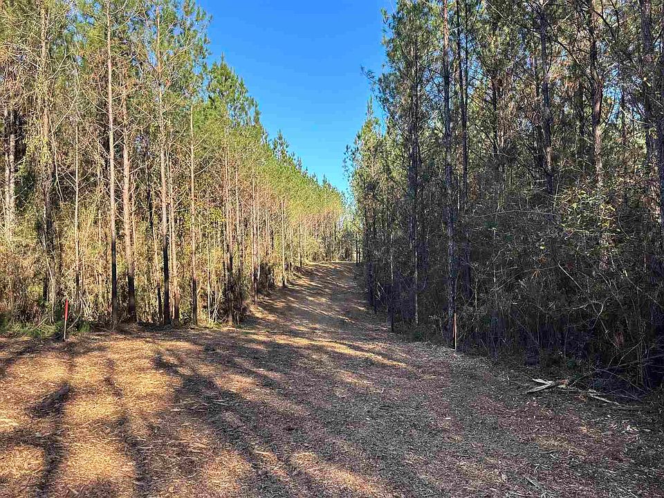 2nd image of 71 Straw Bridge Rd