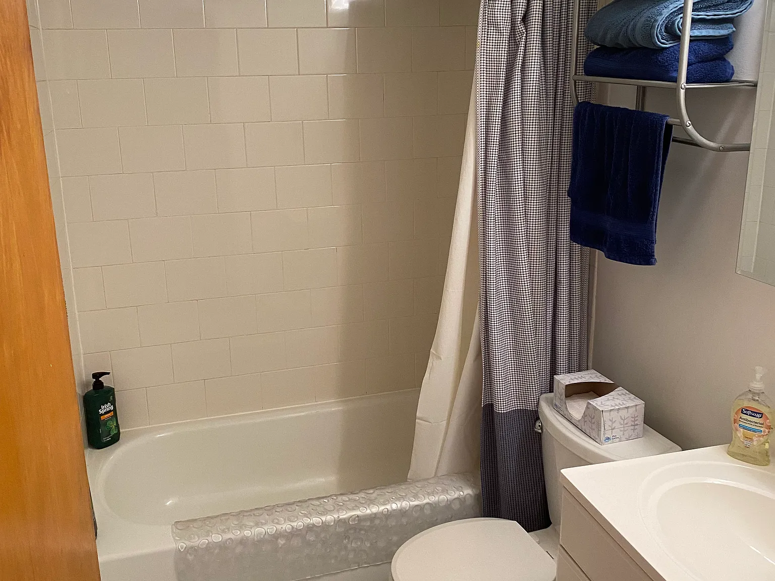 1 bed, 450 sqft, $2,700 — Photo 4