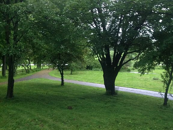 View from house facing road.