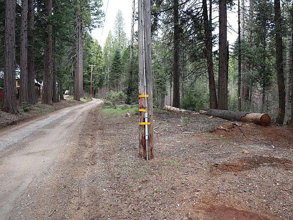 5th image of Caine Rd