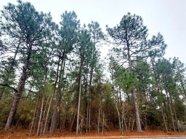 4.94- ACRE Silver Bluff Road, Aiken, SC