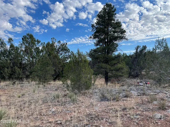 54663 N Forest Grove Way, Seligman, AZ 86337