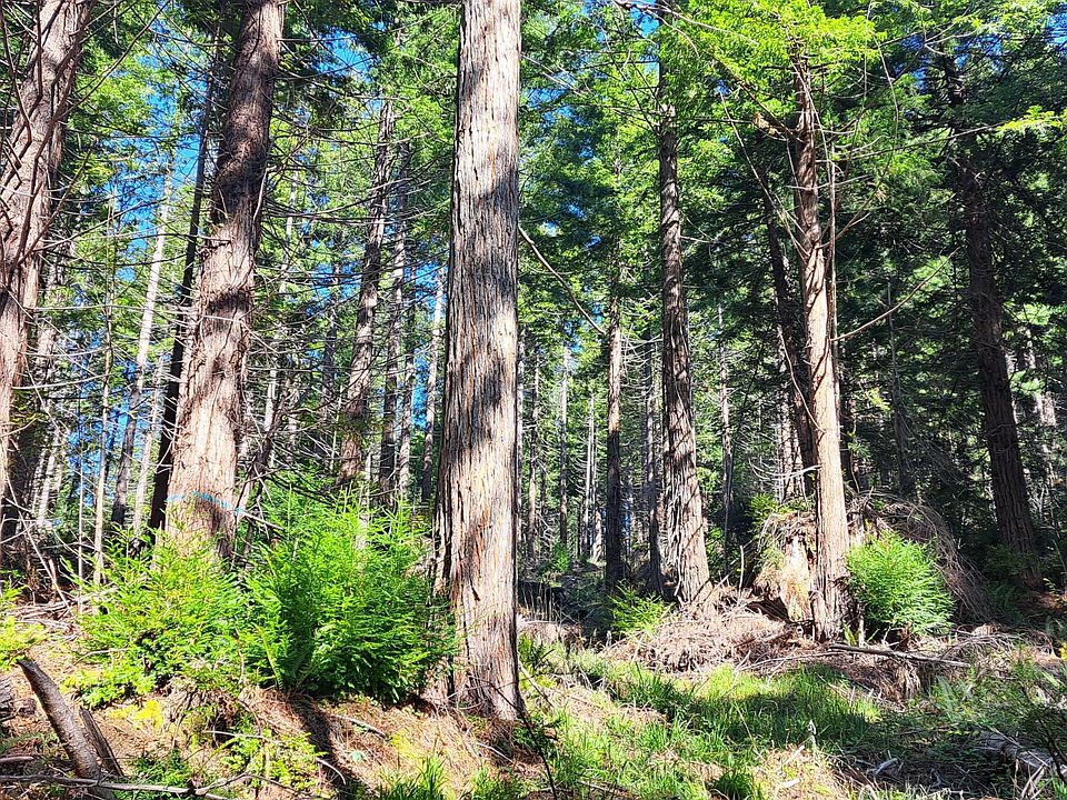 1st image of 403.131042 Redmond Rd