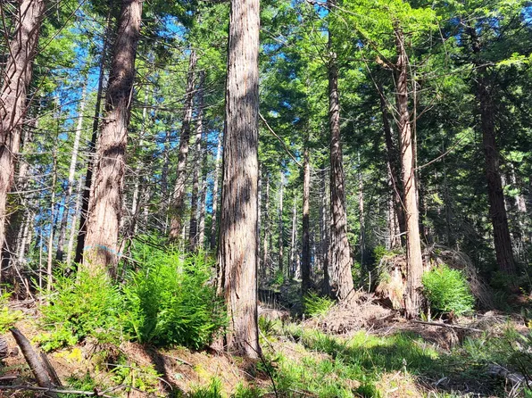 403.131042 Redmond Rd, Eureka, CA 95503