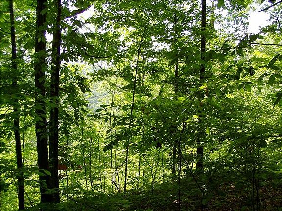 4th image of 0 Holiday Haven Rd Lot 18