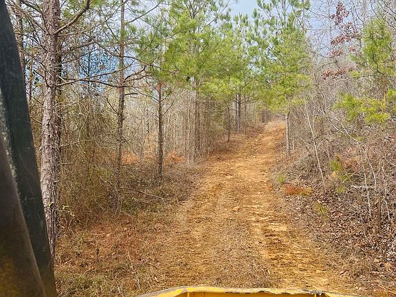 2nd image of County Road 21