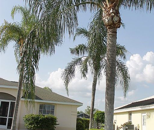 2nd image of 1113 SW 51st Ter