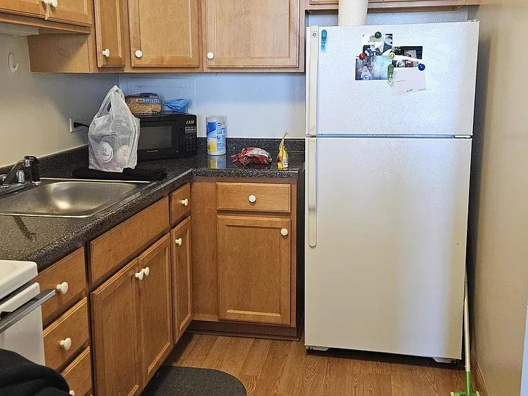 555 W Cornelia Ave #2009 — Photo 6