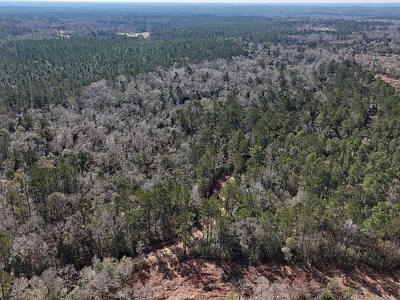 4th image of Pete Hickman Rd