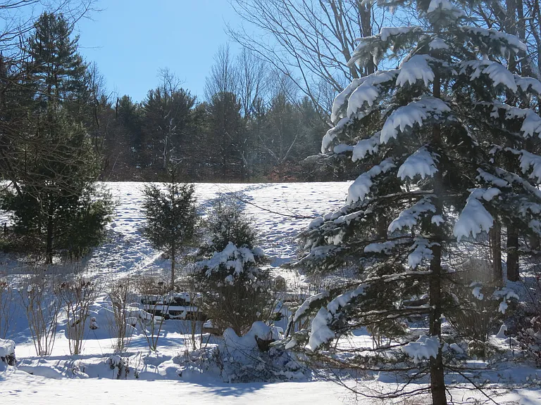 137 Tinker St #0 — Photo 37