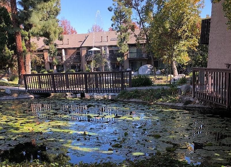 View out back slider and windows.