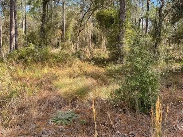 0 SE 139th Ct Lot 8, Dunnellon, FL 34431