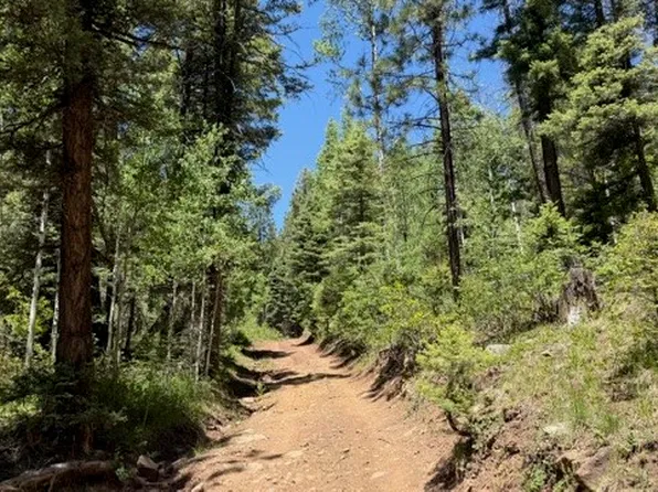 Sawyer Mesa Rd, Pecos, NM 87552