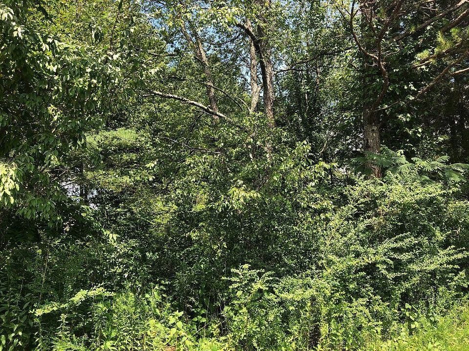 2nd image of 619 Tanasi Ln Lot 16