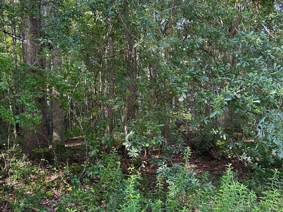 1st image of 89 Trellis Ct