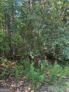 89 Trellis Ct, Carrollton, GA, 30116