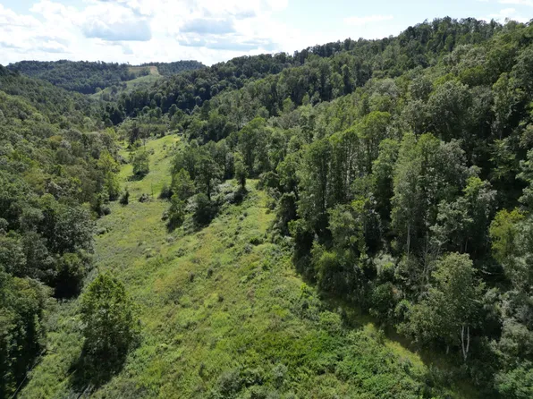 0/ Right Loveberry Rd, Weston, WV 26452